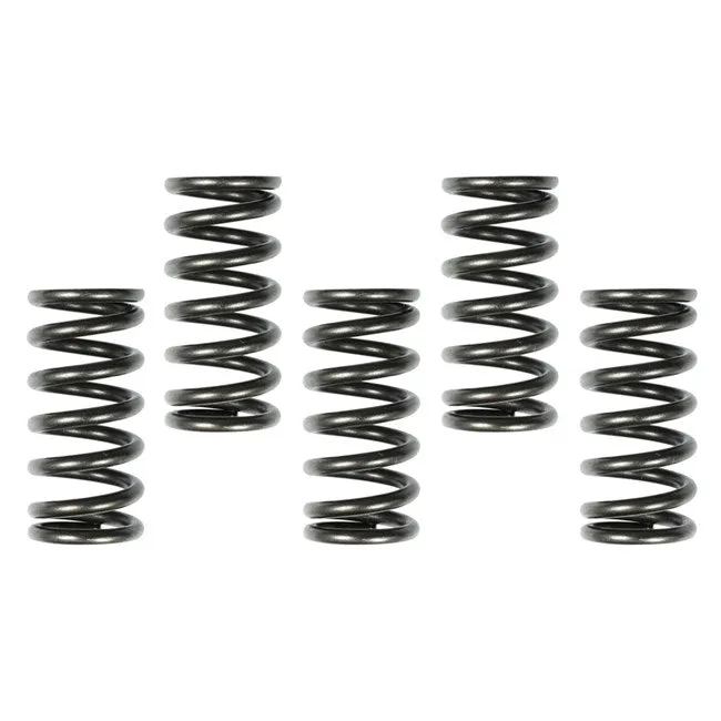 Apico Racing Clutch Kit - KTM