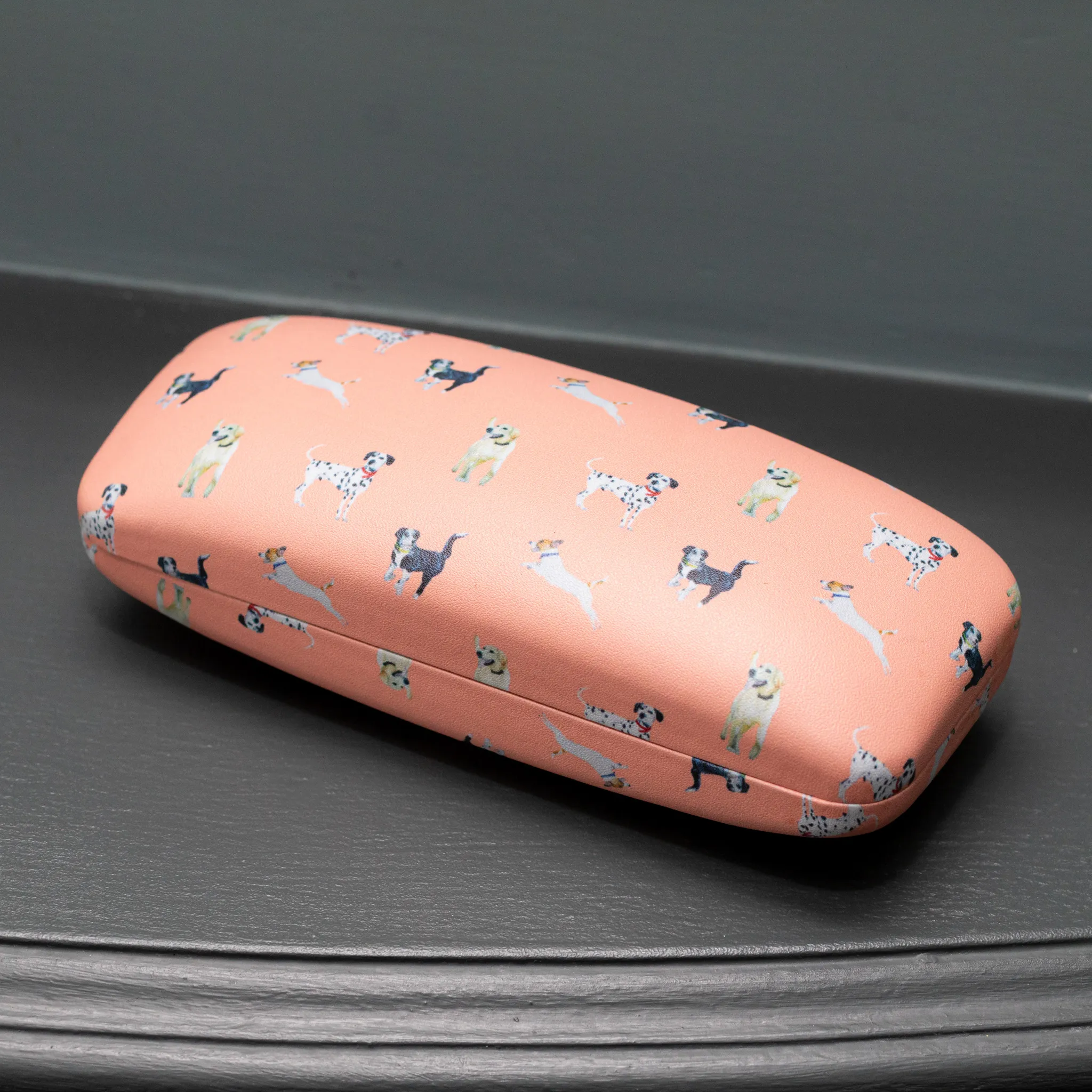 Dog Print Glasses Case (Assorted)