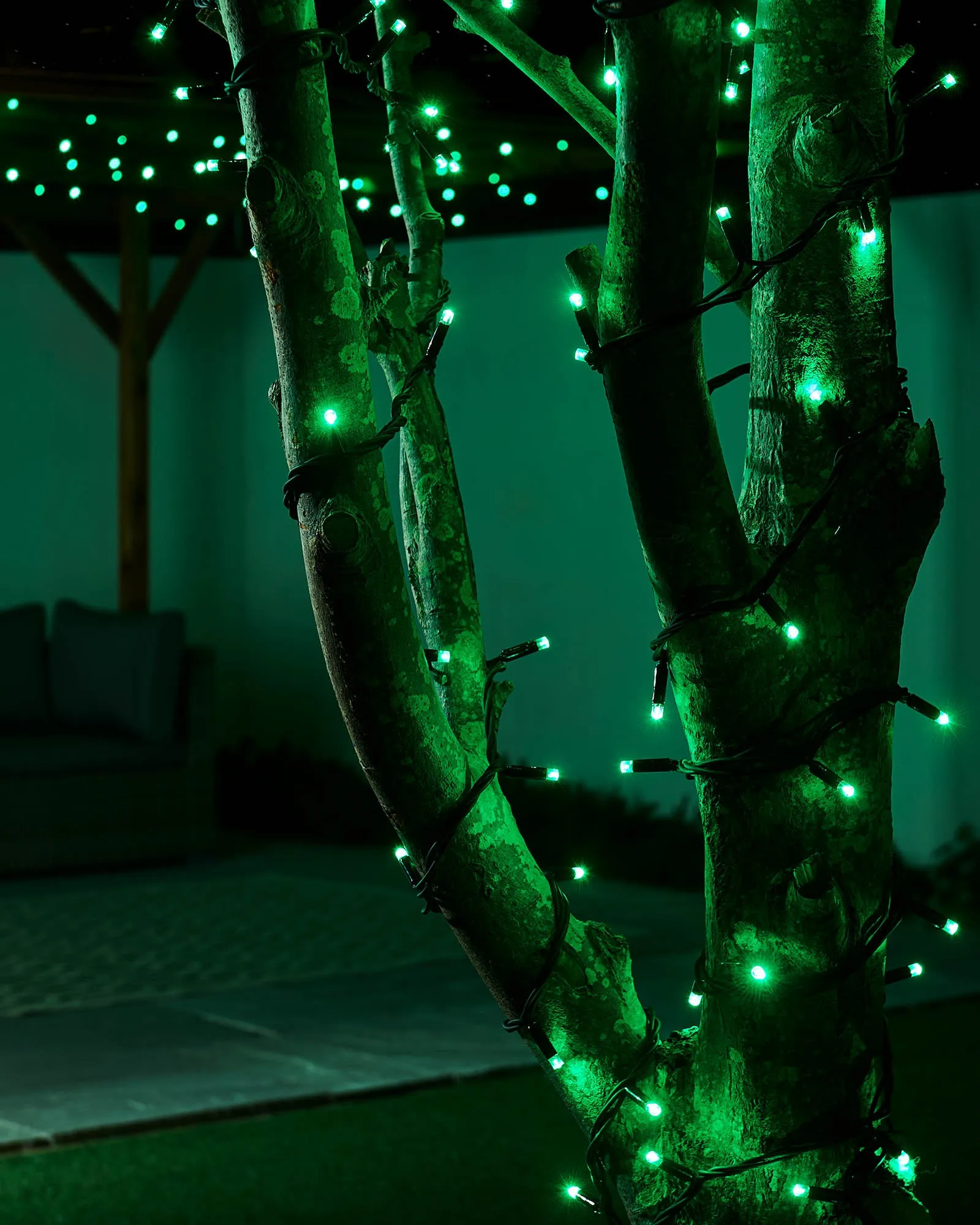 LINK PRO LED String Lights, Black Cable, Green