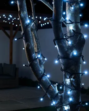 LINK PRO LED String Lights, Black Cable, White