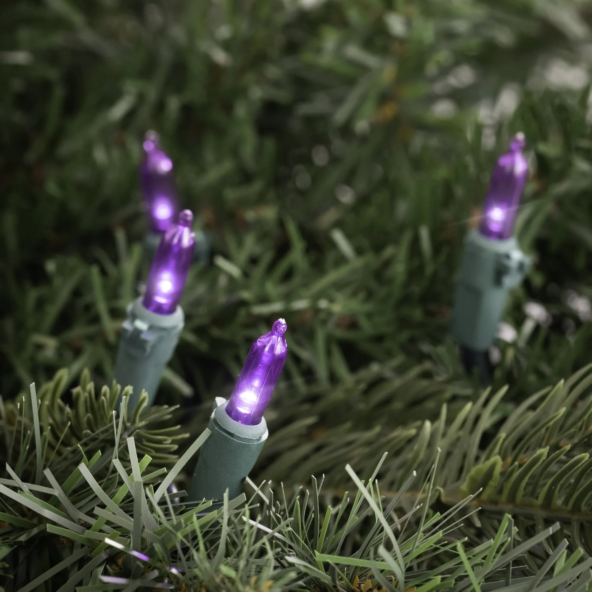 versatile 100ct LED Mini Christmas Lights Green - 33' Green Wire Purple
