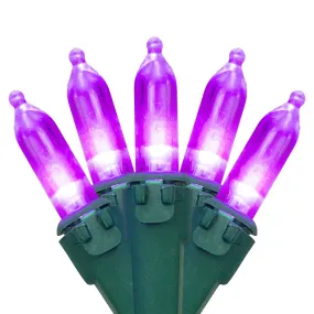 versatile 100ct LED Mini Christmas Lights Green - 33' Green Wire Purple